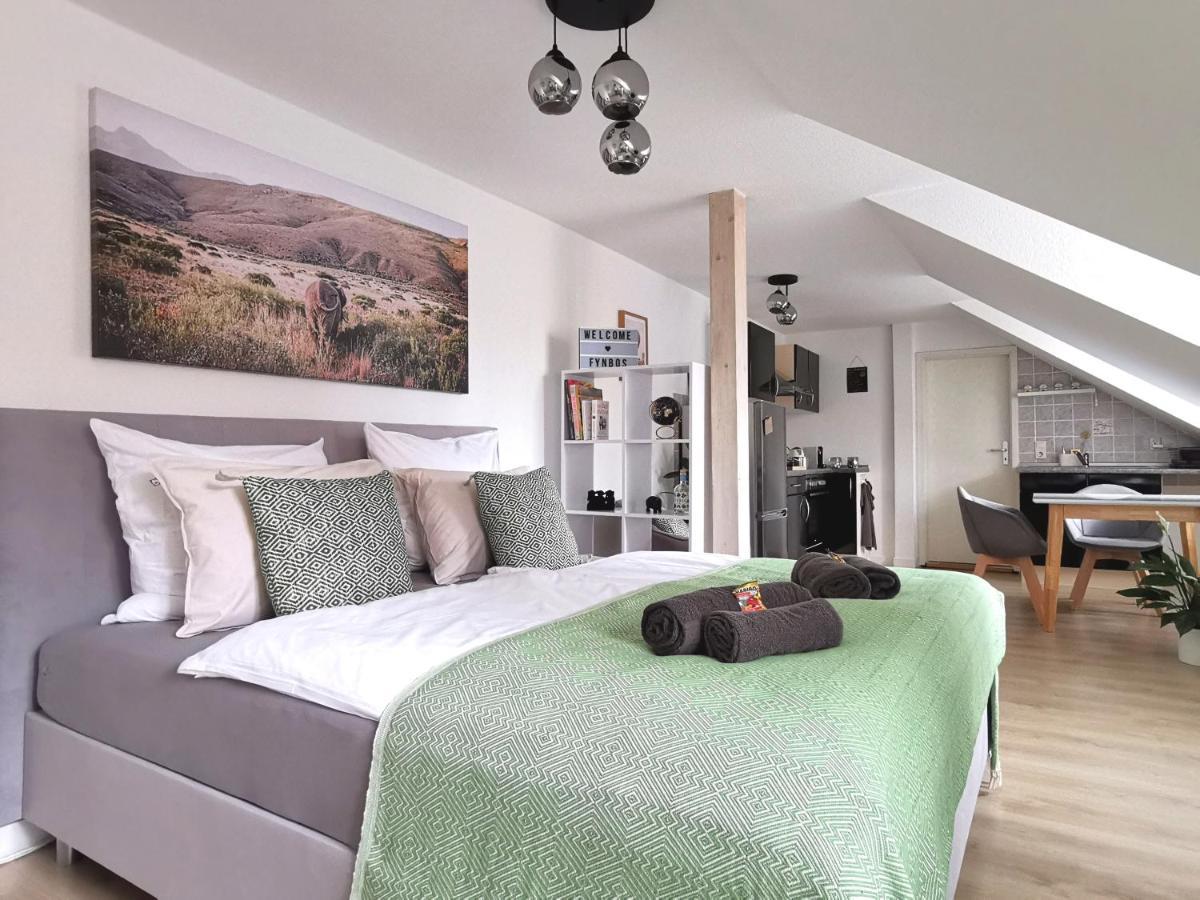 Fynbos Studio Dg In Der Altstadt, Frauenkirchenblick, Parkplatz Meißen Eksteriør billede